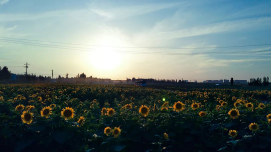 凯发·k8(中国游)官方网站