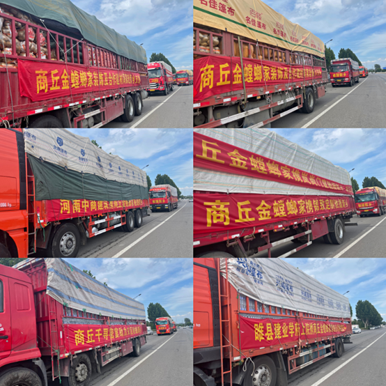 凯发·k8(中国游)官方网站