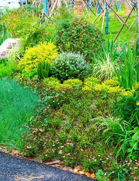 凯发·k8(中国游)官方网站